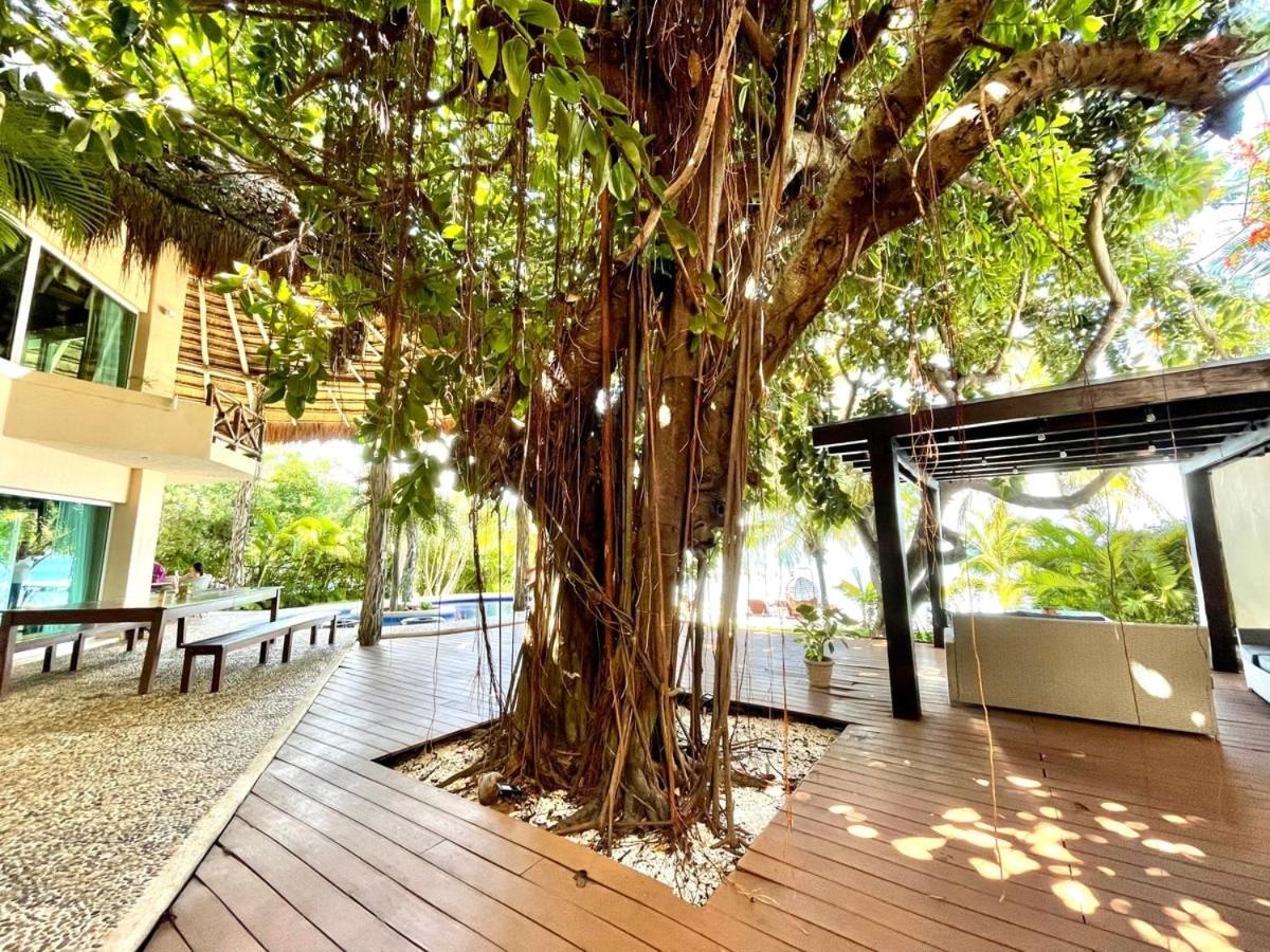 Villa Angela อิสลามูเฮเรส ภายนอก รูปภาพ
