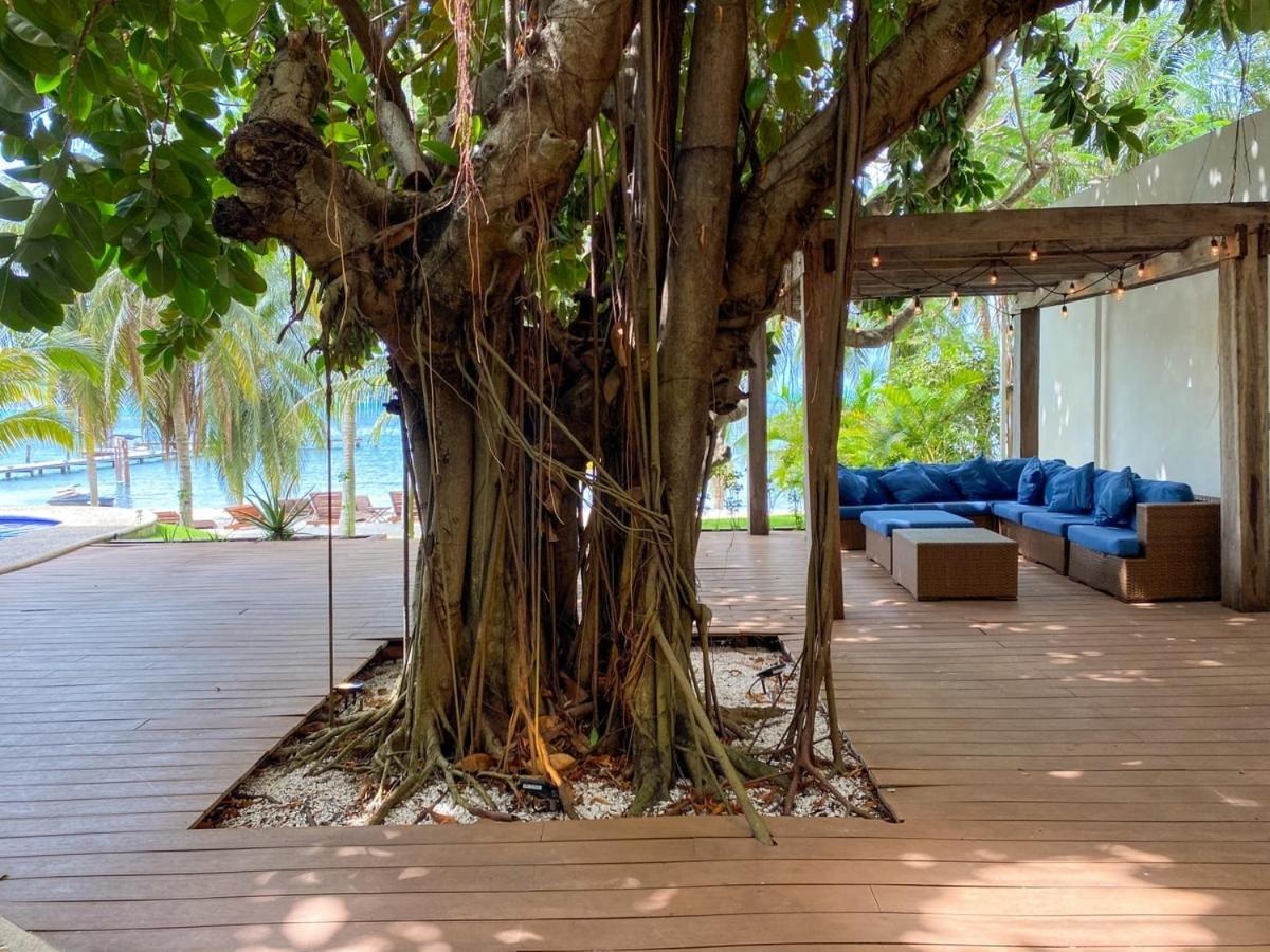 Villa Angela อิสลามูเฮเรส ภายนอก รูปภาพ